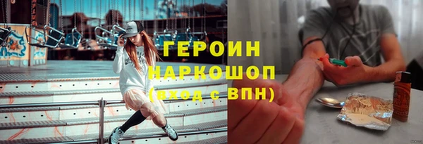 индика Туринск