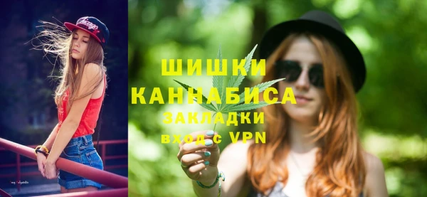 молекула духа Заводоуковск