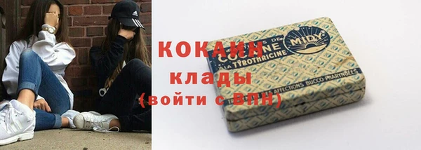 молекула духа Заводоуковск