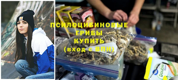 стаф Заволжск