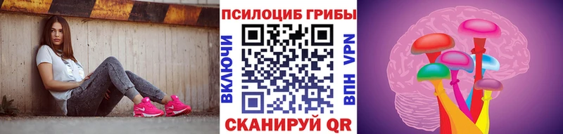 кракен как войти  Осинники  Псилоцибиновые грибы мицелий  как найти  